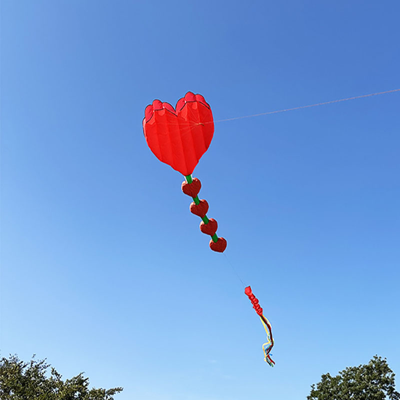 2026 Neuer Herzförmiger Drache – Kids Outdoor Area Bewertung und Preis